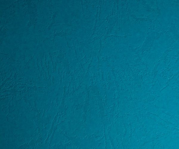 1. MATTE BUFFALO GREEN TOSCA