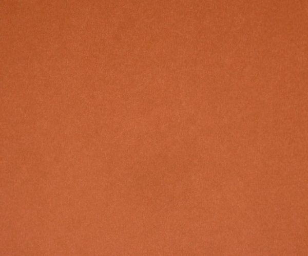 4. PLAIN COLOR CARAMEL