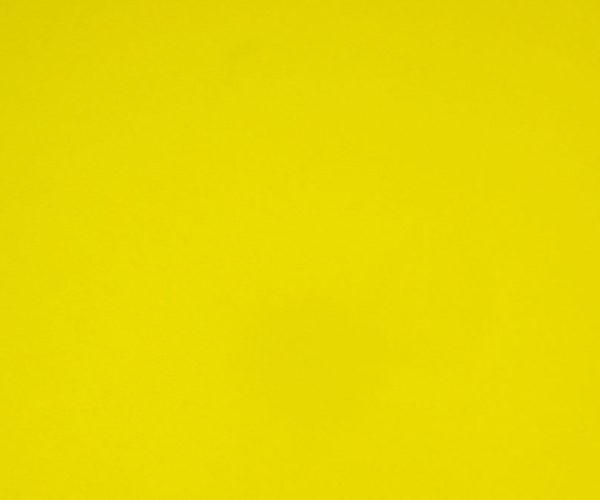 PLAIN COLOR LEMON