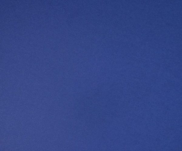 PLAIN COLOR ROYAL BLUE